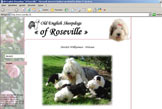 Old English Sheepdogs of Roseville